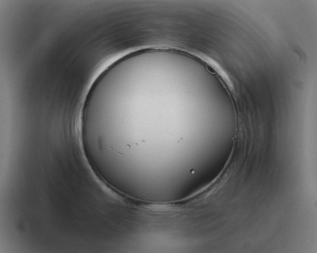 X0000116791343200912311909