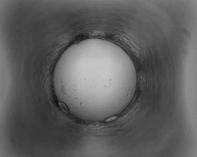 X0000116791345200912311909