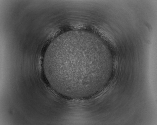 X0000116791346200912311909