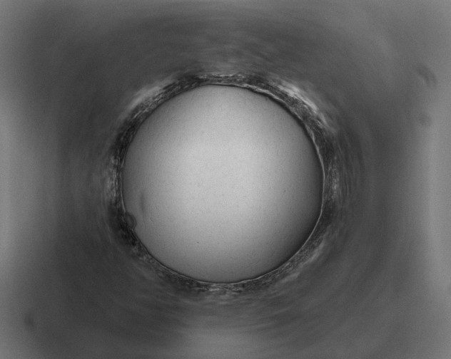 X0000116791350200912311909