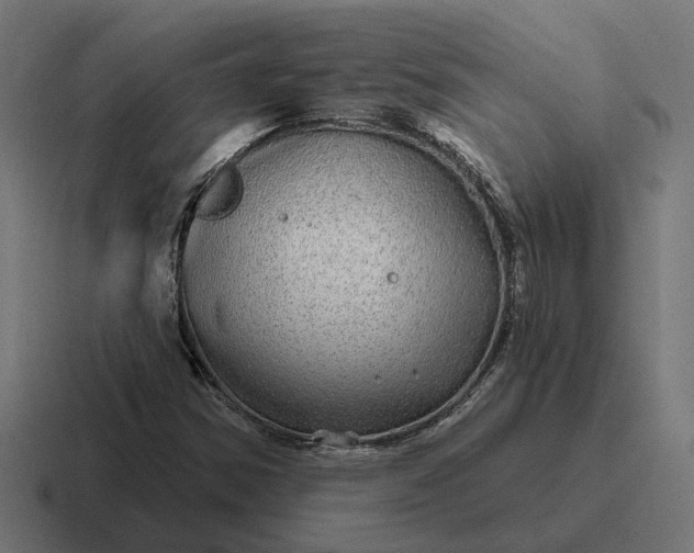 X0000116791354200912311909