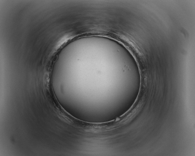 X0000116791355200912311909