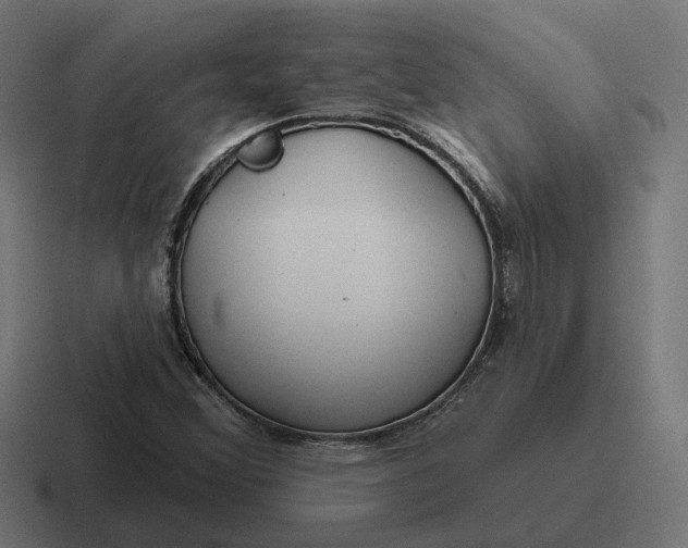 X0000116791356200912311909