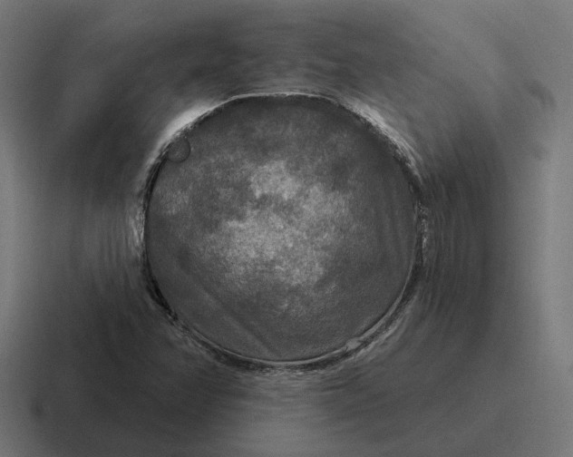 X0000116791358200912311909