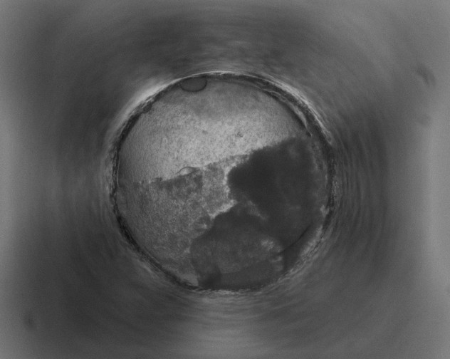 X0000116791359200912311909