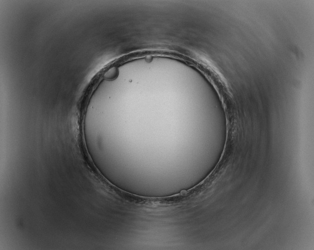 X0000116791360200912311909