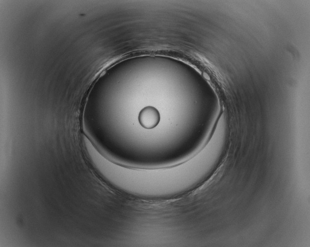 X0000116791361200912311909