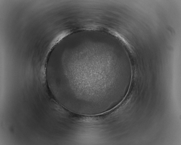 X0000116791362200912311909