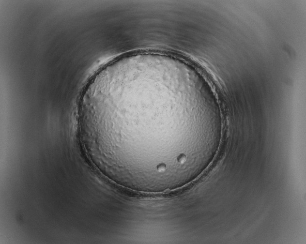 X0000116791363200912311909