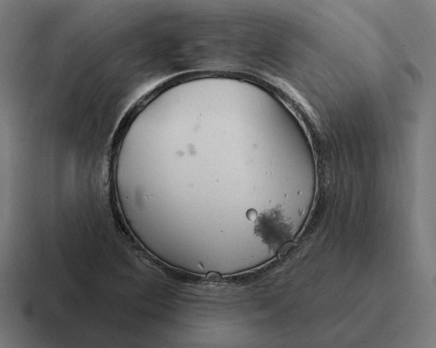 X0000116791364200912311909