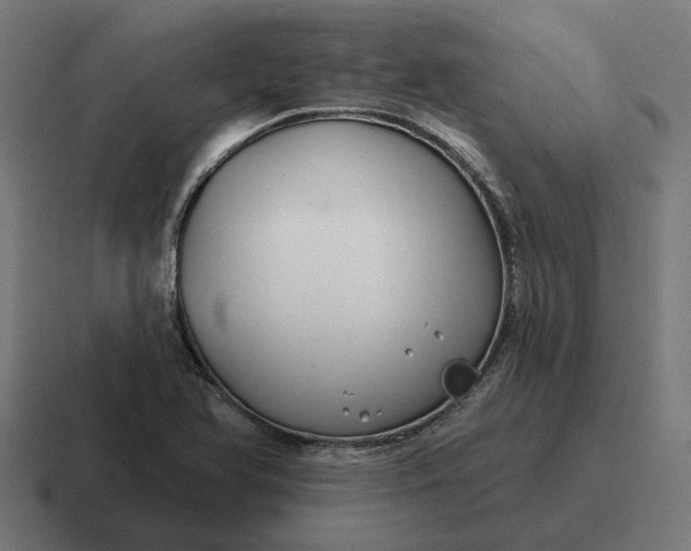 X0000116791366200912311908