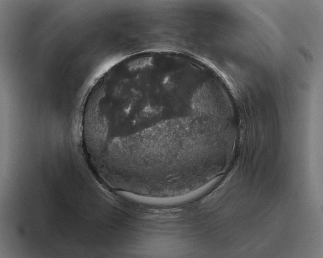 X0000116791367200912311908