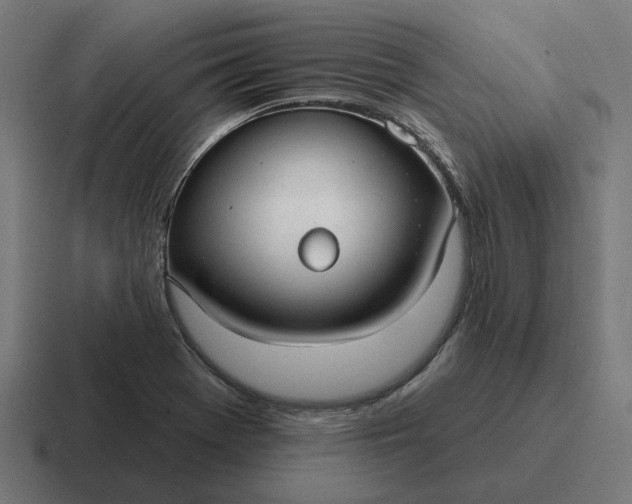 X0000116791369200912311908