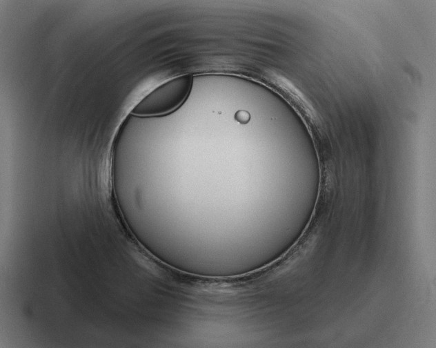 X0000116791370200912311908