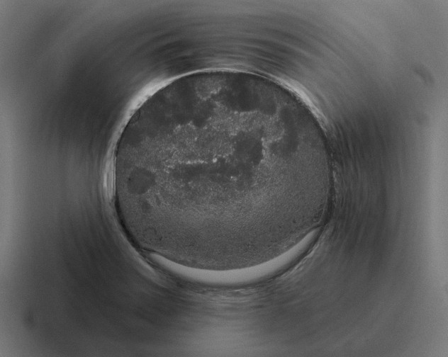 X0000116791371200912311908