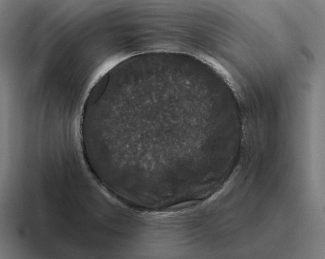 X0000116791373200912311908