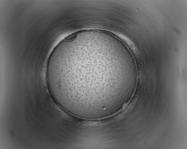 X0000116791374200912311908