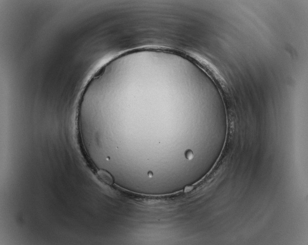 X0000116791375200912311908