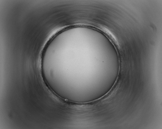 X0000116791376200912311908