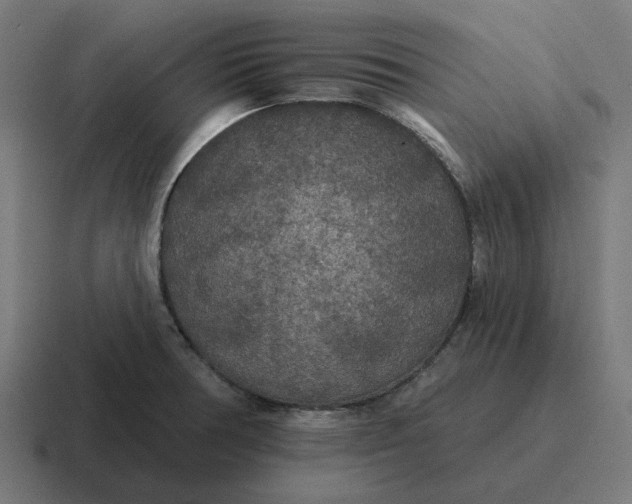 X0000116791378200912311908