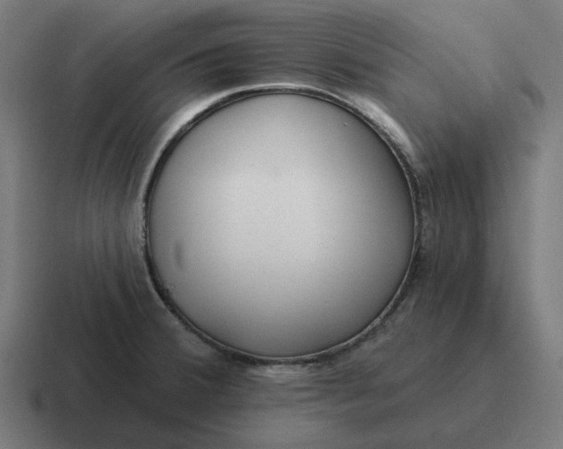 X0000116791380200912311908