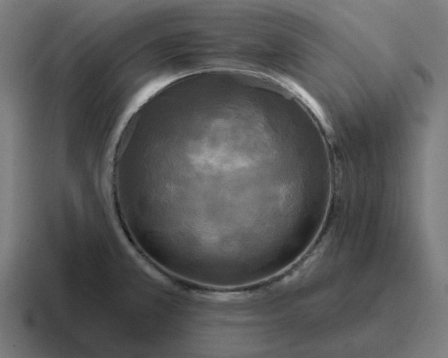 X0000116791381200912311908