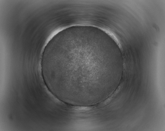 X0000116791382200912311908