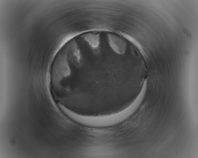 X0000116791383200912311908