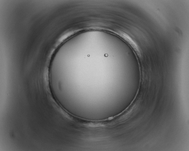 X0000116791384200912311908