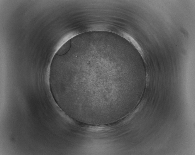 X0000116791386200912311908