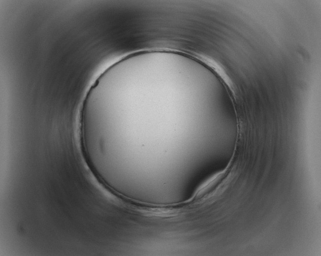 X0000116791387200912311908