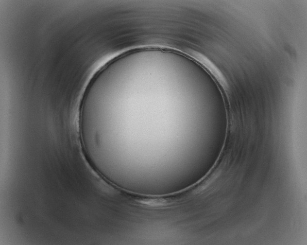 X0000116791388200912311908