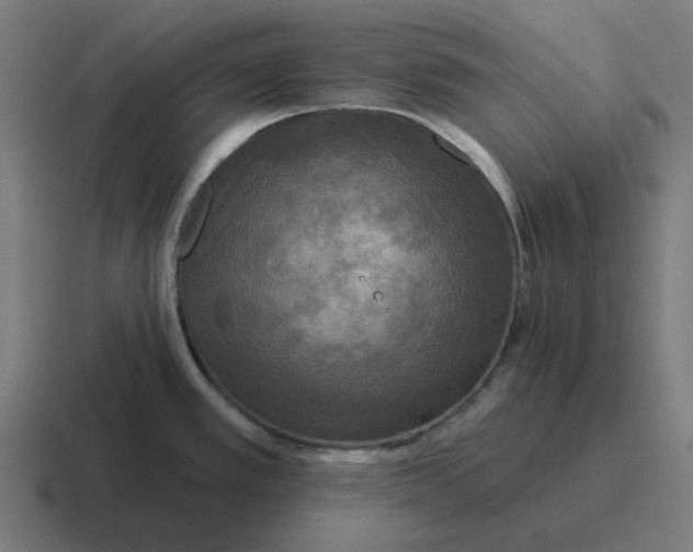 X0000116791389200912311908