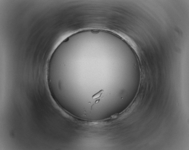 X0000116791390200912311908