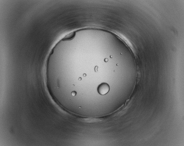 X0000116791391200912311908