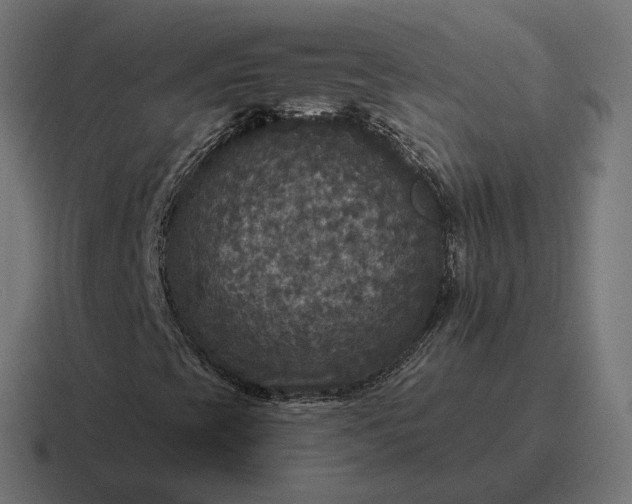 X0000116791393200912311908