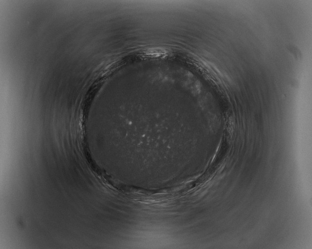 X0000116791394200912311908