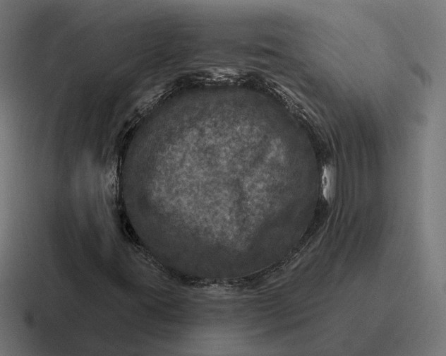 X0000116791395200912311908