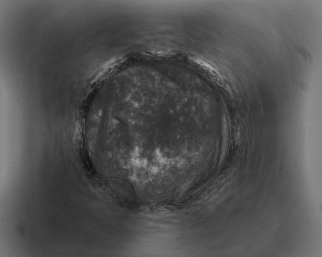 X0000116791397200912311908