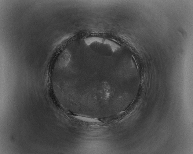 X0000116791398200912311908