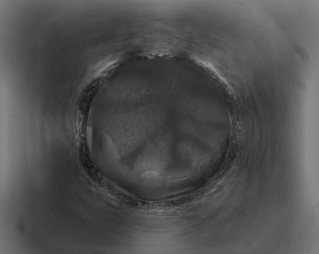 X0000116791399200912311908