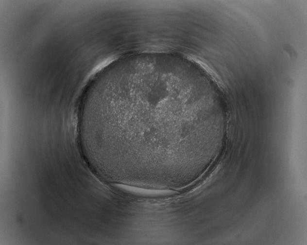 X0000116791402200912311908