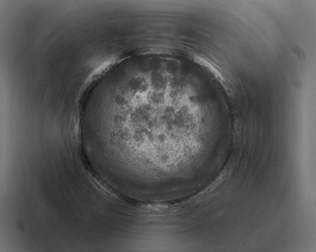 X0000116791403200912311908