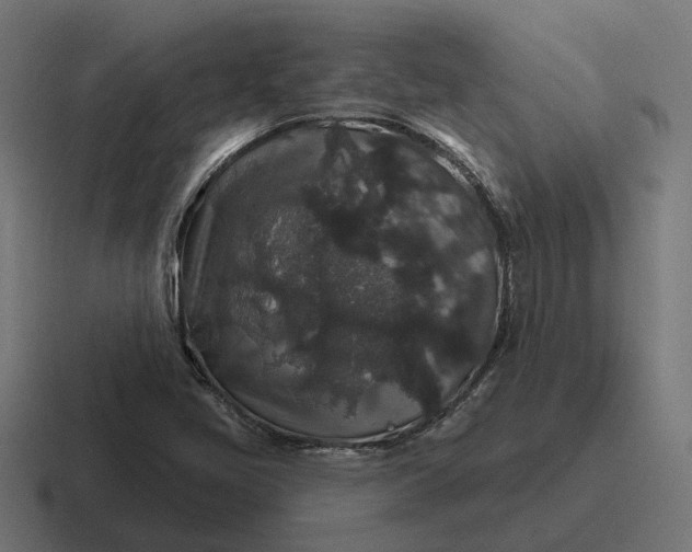 X0000116791405200912311908