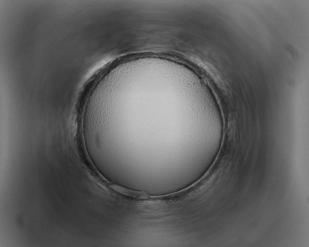 X0000116791406200912311908