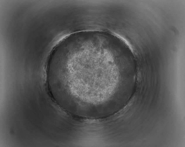 X0000116791407200912311908