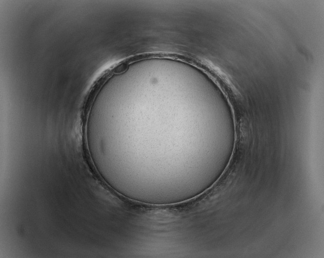 X0000116791408200912311908