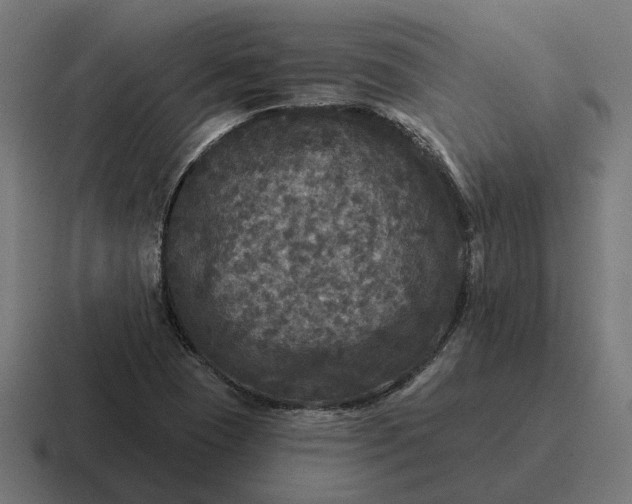 X0000116791409200912311908