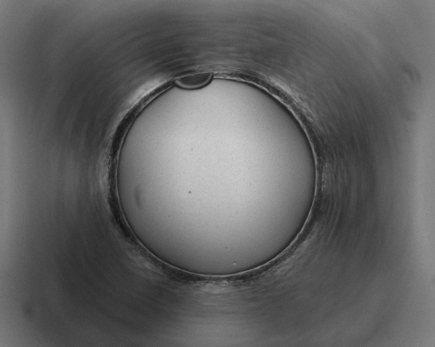 X0000116791410200912311908