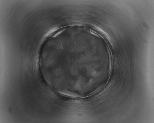 X0000116791411200912311908